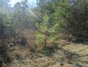 Lot 36 Ravenwood Circle sold home in Piedmont, SC