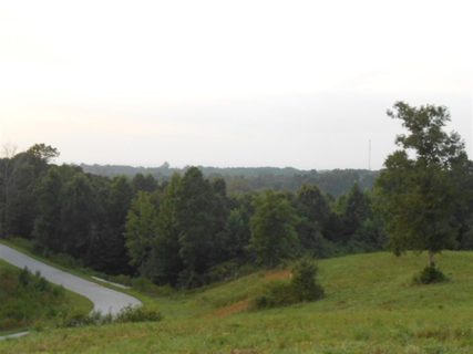Lot 21 Sunset Ridge Paramount Drive sold home in Sunset Ridge On Radisson, Seneca, SC