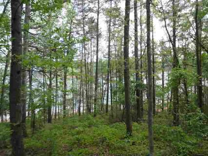 00 Tammerick Trail Lot 12  0.58 Acres sold home in Tammerick Shore, Fair Play, SC