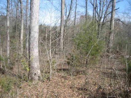 Lot 1 Brookside Drive sold home in Brookside, Honea Path, SC