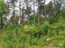 Lot 59 Four Pointes Natures View Drive sold home in Salem, SC