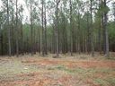 Lt 59 Southview Drive sold home in Iva, SC