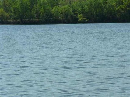 Lt 31 Lakewind Court