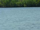 Lt 31 Lakewind Court sold home in Iva, SC