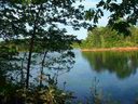 226 Bay Ridge Drive sold home in Townville, SC