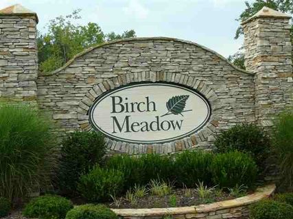 115 Muscadine Lane sold home in Birch Meadow, Piedmont, SC