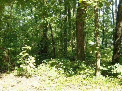 Lots 180/181 Ann Drive