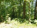 Lots 180/181 Ann Drive sold home in Seneca, SC
