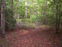 354 Gauley Falls Road sold home in Pickens, SC