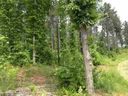 Lot 58 Four Pointes Natures View Drive sold home in Salem, SC