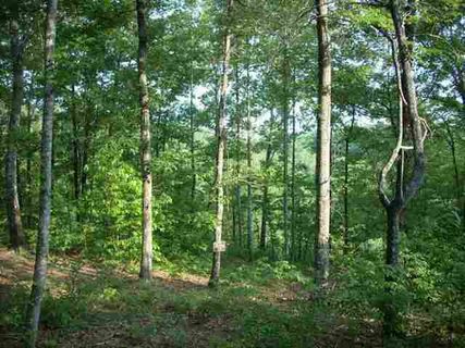 120 Crowne Hill Way sold home in Cliffs At Mountain Park, Marietta, SC