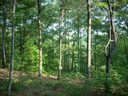 120 Crowne Hill Way sold home in Marietta, SC
