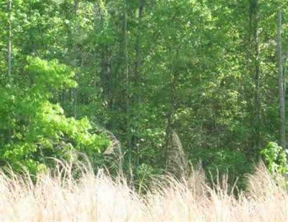 Lot 1-A Clearview Drive Lake Secession sold home in Clearview, Abbeville, SC