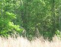 Lot 1-A Clearview Drive Lake Secession sold home in Abbeville, SC