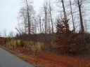40 Lots Willow Creek Subdivision sold home in Westminster, SC