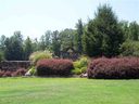 382 Woodmere Drive Lot 74 sold home in Pickens, SC