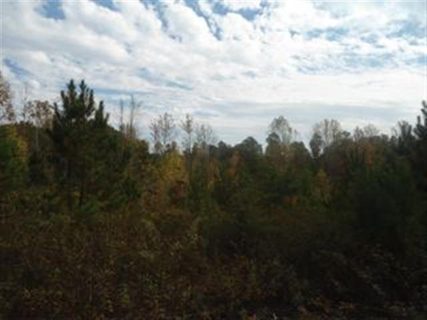 Lot 22 & 23 Pine Hollow Lane sold land listing in Heritage Farms, West Union, SC