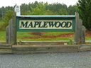 146 Yellow Pine Drive sold home in Anderson, SC