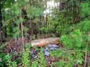 Lot 6 Bryson Street sold home in Westminster, SC