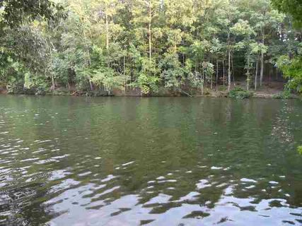 202 Lakeport Drive sold home in Harborside, Greenwood, SC
