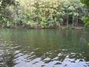 202 Lakeport Drive sold home in Greenwood, SC