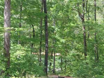 Lot 12 Wilderness Cove