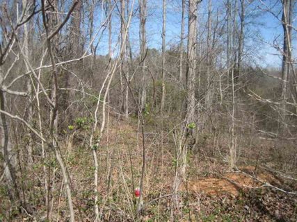 Lot 3 Brookside Drive sold home in Brookside, Honea Path, SC
