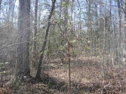 Lot 6B Brookside Drive sold home in Brookside, Honea Path, SC