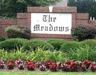 Lot 76A Dandelion Trail The Meadows Subdivision