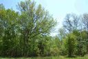 119 Prairie Lane sold home in Anderson, SC