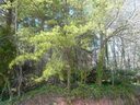 Lot 13 Cherry Road sold home in Clemson, SC