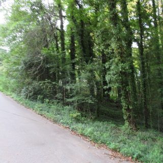 113 Valley View Drive sold home in Brookwood, Clemson, SC