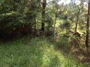 00 Stafford Road sold home in Anderson, SC
