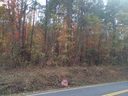 Logans Way sold home in Seneca, SC