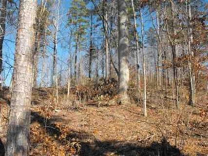 Lot 29 Wilderness Cove Phase I