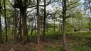 Lot 369 Harbor Light Marina Road sold home in Lavonia, SC