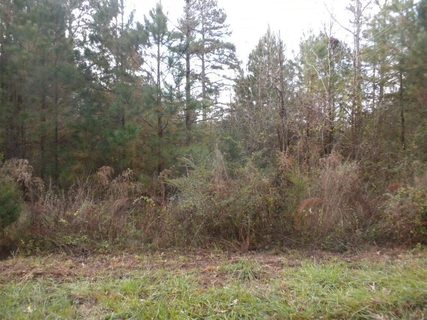 Lot 3 & 4 Maret Road sold home in Horse Shoe Bay, Townville, SC