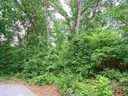 Lot 22 Wilderness Cove sold home in West Union, SC