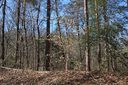 Lots 4 & 5 Pin Du Lac sold home in Central, SC
