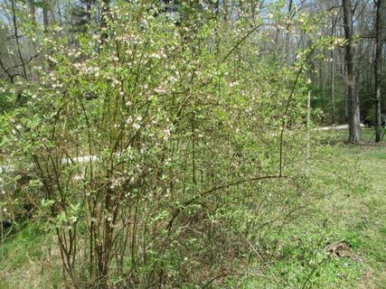 651 Chattooga Lake Road sold home in Chattooga Lake, Mountain Rest, SC