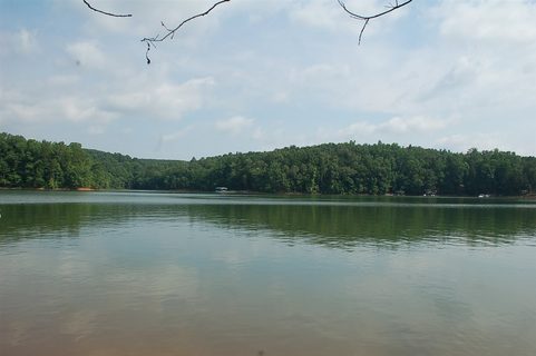 Lot 40 Martin Lake Drive