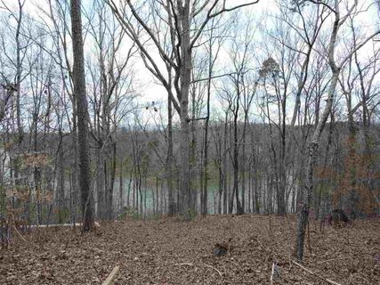 Lot 8 South Shore Drive