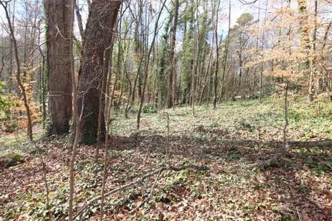 113 Valley View Drive sold home in Brookwood, Clemson, SC