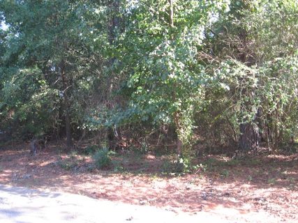 Lot 111 Laurel Ridge Road sold home in Holly Creek, Anderson, SC