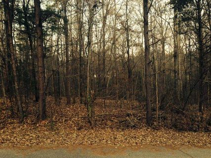 Lot 11 & 12 Kimberly sold home in Henderson Estat, Easley, SC