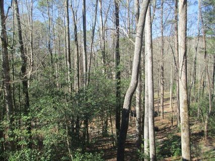 21 Astor Lane sold home in Chattooga Lake, Mountain Rest, SC