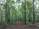 322 Scharlin Drive sold home in Pickens, SC