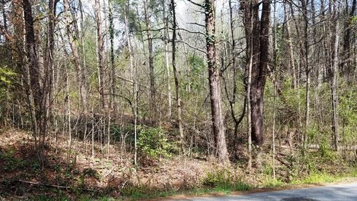 Lot 141 Delphi Drive