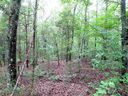 366 Calhoun Forest Drive sold home in Abbeville, SC