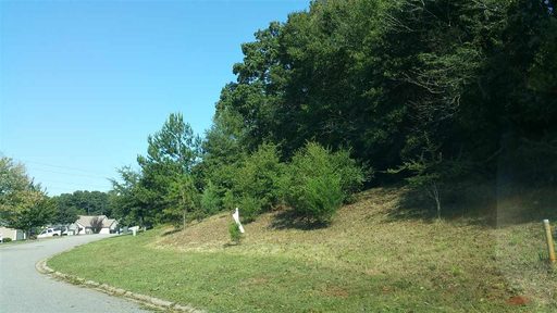117 Falcons Landing lot 18 sold home in Falcons Landing, Anderson, SC